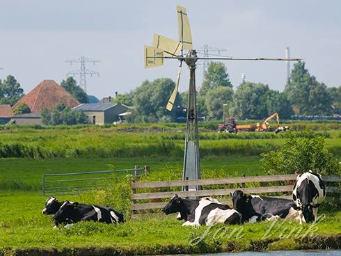 Koeien in polderlandschap, met watermolentje, tractor met kar, boerderij, damhek, balen kuilgras en hoogspanningsmasten, KrommenieÃ«r Woudpolder