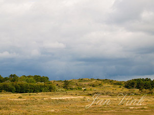 Donkere wolken boven het Doornvlak, Noordhollands Duinreservaat